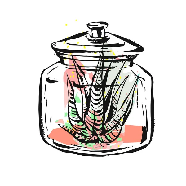 Ручной рисунок вектор абстрактная иллюстрация с сочным растением в стеклянной банке в пастельном цвете изолированы на белом фоне. Дизайн для украшения, моды, ткани, сохранить дату, скандинавский декор — стоковый вектор