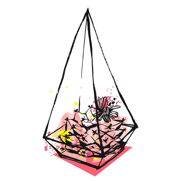 Handen ritade vektor abstrakt grafisk illustration med suckulent växt i glas grov målade terrarium i pastell rosa färg isolerad på vit bakgrund. Design för Spara datum, sign, bröllop, journalföring — Stock vektor