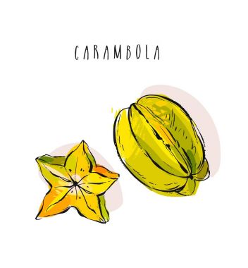 El çizimi soyut egzotik tropikal meyve karambola koleksiyonu çizimi beyaz arkaplanda izole edildi.