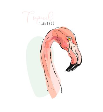 Pembe flamingo, suluboya sıçramalarına, renkli boya düşer. Beyaz arka plan üzerinde izole güzel vektör çizim