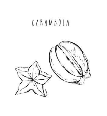 El çizimi soyut egzotik tropikal meyve karambola koleksiyonu çizimi beyaz arkaplanda izole edildi.