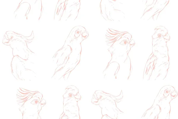 Tangan digambar vektor abstrak grafis bertekstur pola mulus dengan burung beo tropis eksotis terisolasi di latar belakang putih . - Stok Vektor