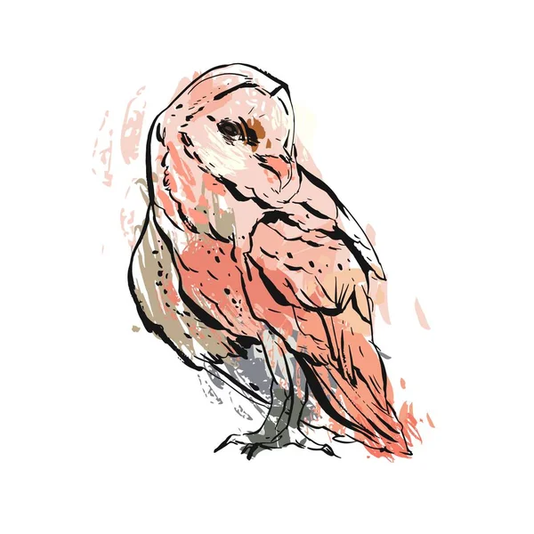 Illustration graphique abstraite vectorielle dessinée à la main en couleurs pastel isolée sur fond blanc. Conception d'impression peinture Boho. Illustration Zoo et oiseaux sauvages — Image vectorielle