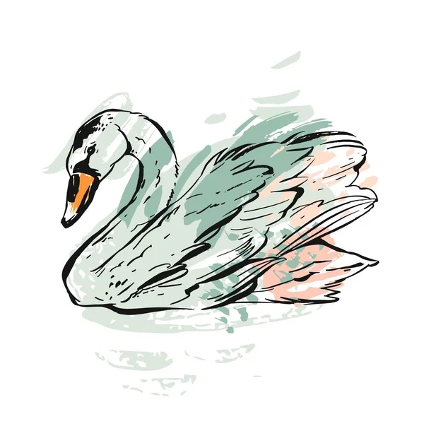 Ilustración de cisne gráfico texturizado pintado a mano de tinta abstracta vectorial en colores pastel aislados sobre fondo blanco. — Archivo Imágenes Vectoriales