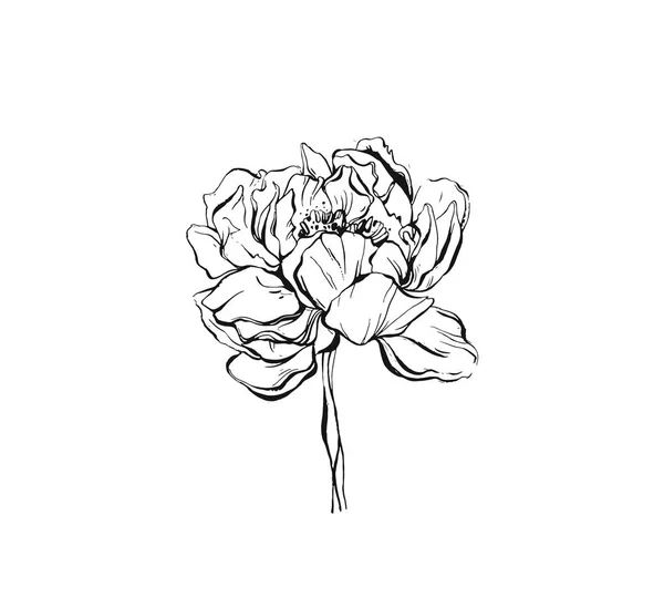 Handgefertigte Vektor abstrakte grafische Tinte Pfingstrose oder Rosenblütenkopf isoliert auf weißem Hintergrund. Umrisse Designelemente für Boho Hochzeit, Geburtstag, speichern Sie die Datumskarte — Stockvektor