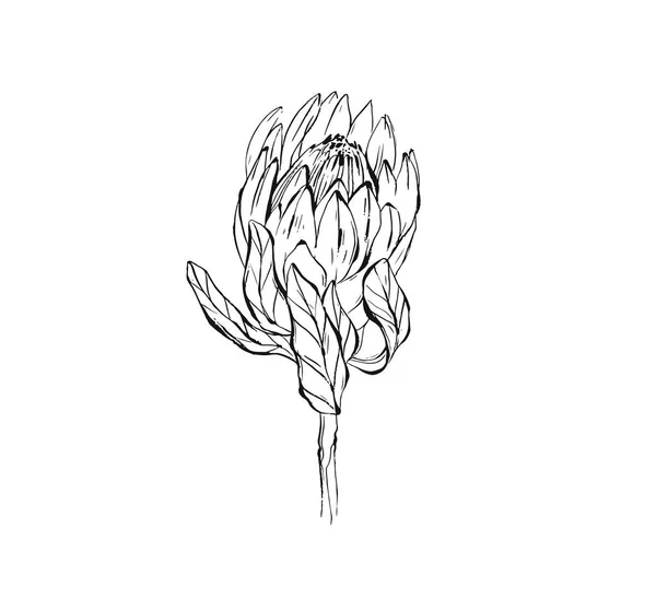 Ručně vyrobené, vektorové abstraktní grafický rukopis Pivoňka květu izolovaných na bílém pozadí. Osnova prvky návrhu boho svatbu, narozeniny, uložit data kartu — Stockový vektor