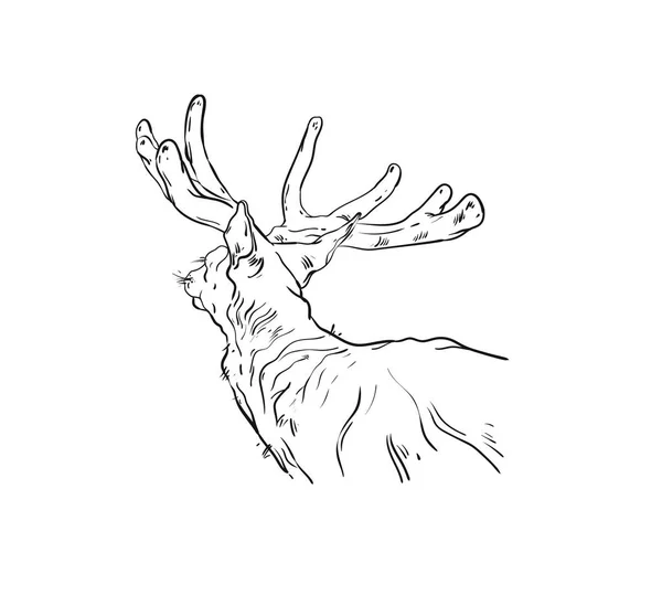 Dibujo dibujado a mano vector abstracto divertido dibujos animados Feliz Navidad dibujo ilustración elemento de diseño con escandinavo ciervo boceto aislado sobre fondo blanco — Archivo Imágenes Vectoriales