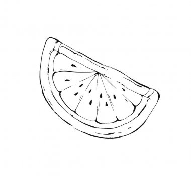 Beyaz arka plan üzerinde izole karpuz Yüzme Havuzu şamandıra şamandıra soyut grafik yaz zaman mürekkep çizim sketch çizilmiş vektör el