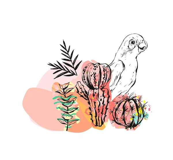 Dibujo de dibujo de tinta abstracta vectorial dibujado a mano ilustraciones collage con loros y plantas de cactus tropicales tribales aisladas sobre fondo blanco — Archivo Imágenes Vectoriales