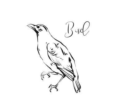 Elle çizilmiş vektör soyut sanat mürekkep dokulu grafik kroki illüstrasyon izole beyaz arka plan üzerinde orman kuş çizim