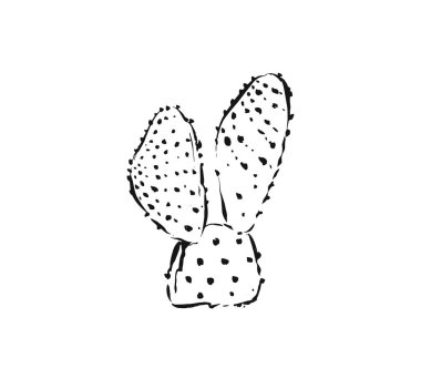 Çizilmiş vektör dokulu soyut sanat mürekkep grafik kroki çizim çizim sulu kaktüs çiçek beyaz arka plan üzerinde izole el