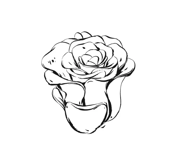 Handgezeichnet Vektor abstrakt künstlerische Tinte texturierte grafische Skizze Zeichnung Illustration der saftigen Kaktuspflanze mit Blumen isoliert auf weißem Hintergrund — Stockvektor