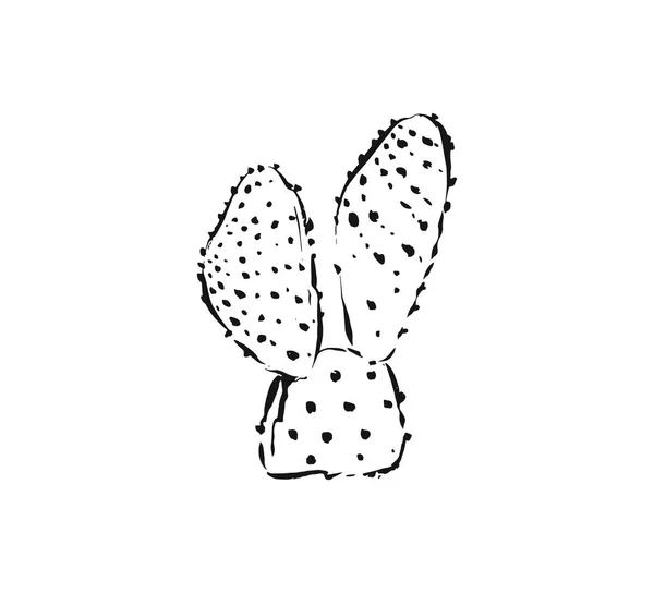 Vetor desenhado à mão tinta artística abstrata desenho gráfico texturizado ilustração de planta de cacto suculento flor isolada sobre fundo branco —  Vetores de Stock