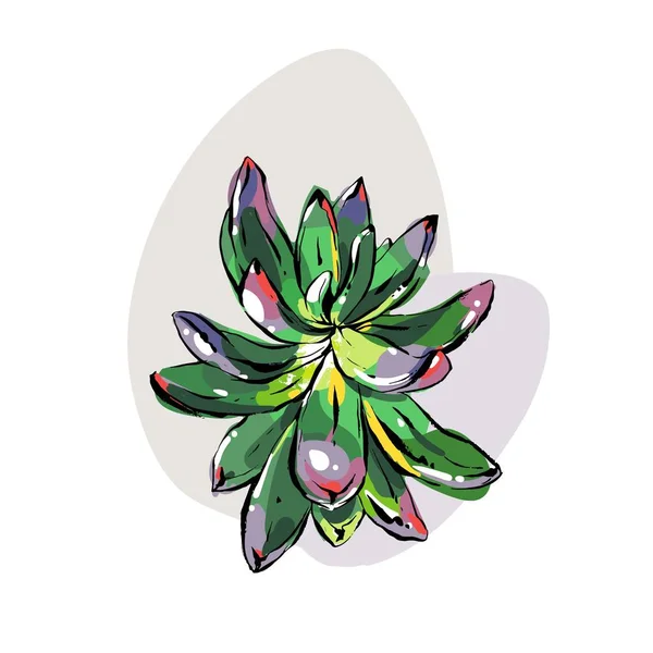 手绘矢量抽象墨水图形画笔纹理素描画开花肉质的芦荟花, 绿色的颜色在白色背景下分离。婚礼, 生日和保存日期设计元素 — 图库矢量图片