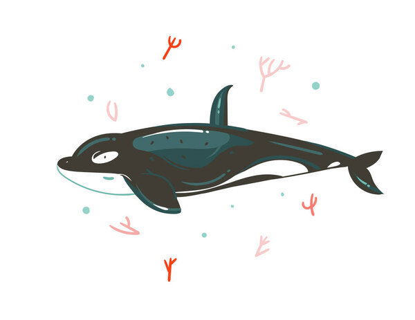 Hand drawn vector abstract cartoon graphic summer time underwater illustrations with coral reefs and beauty big killer whale character isolated on white background