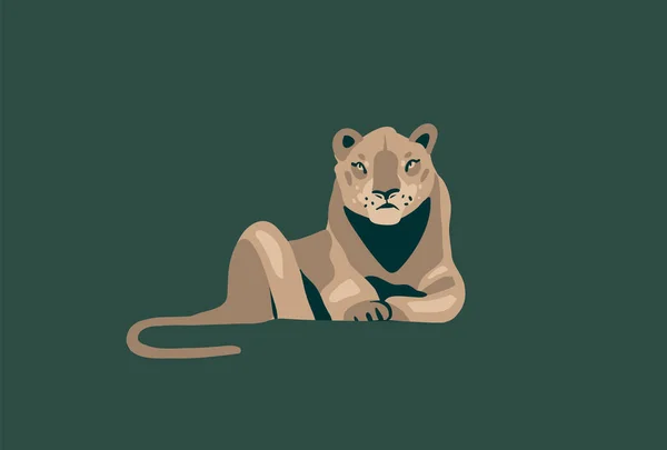 Handgezeichnete Vektor Stock abstrakte grafische Illustration mit afrikanischen wild liegenden Löwin Cartoon Animal Design isoliert auf dem Hintergrund — Stockvektor