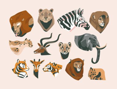 Safari afrikalı hayvanların el çizimi vektör çizimi çizimleri. Kafalar tomar tomar, aslan, dişi kaplan, çita, fil, zebra, zürafa ve arka planda izole edilmiş diğerleri.