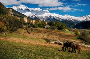 Atları karşı Svan towers de Mestia, Svaneti, Gürcistan.