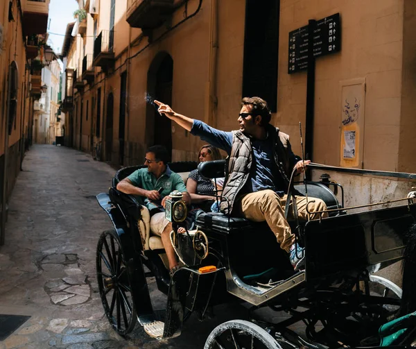 Guía turístico en carruaje de caballos apunta una mano a un hito, Mallorca, España —  Fotos de Stock