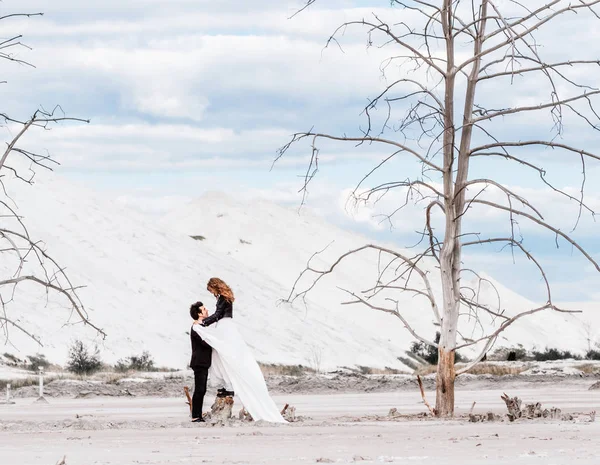 La sposa si erge sul ceppo prosciugato e abbraccia lo sposo sullo sfondo del deserto con alberi appassiti — Foto Stock