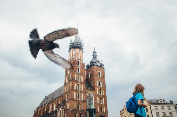 A pomba voa de perto sobre a menina contra o marco de Cracóvia — Fotografia de Stock