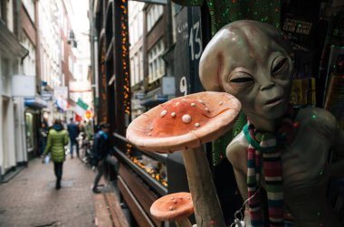 Amsterdam şehir merkezinde akıllı bir dükkanda sihirli mantar.