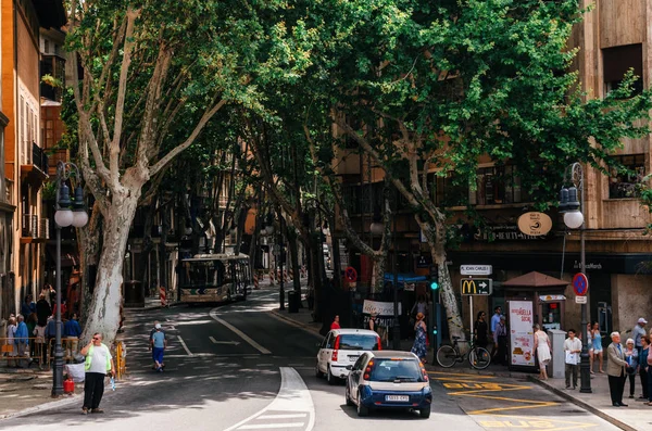 Smalle straat met weelderige groene vegetatie, Palma de Mallorca — Stockfoto