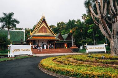 Loro Park Tenerife, İspanya için giriş