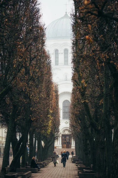 Laisves Aleja a kostel v Kaunasu — Stock fotografie