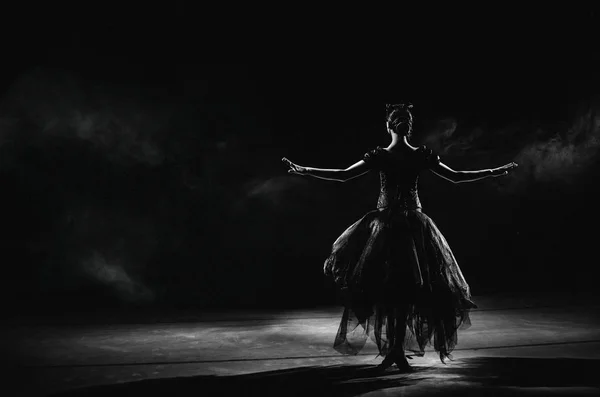 Silhouette of young ballet dancer standing back to camera