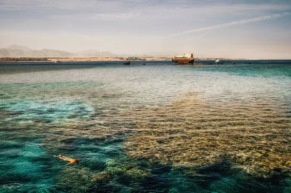 Mulher snorkeling ao lado de naufrágio no Mar Vermelho, Egito — Fotografia de Stock