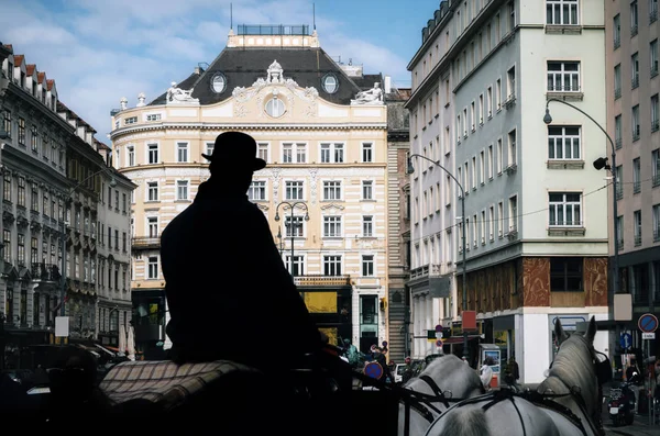Silueta de cochero con carro tirado por caballos en Viena . — Foto de Stock