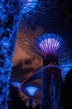 Singapur'da gece koyunda Garden Dev ağaçların Işık gösterisi.
