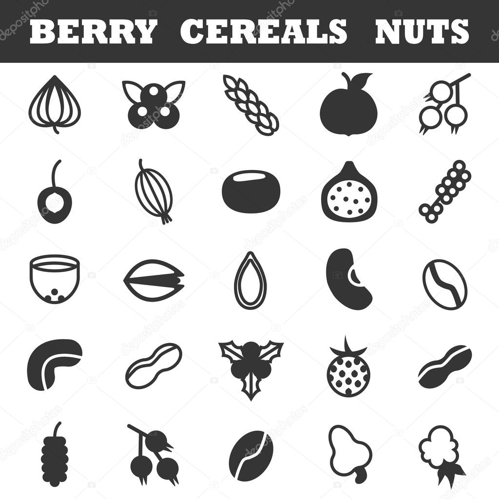 Nuts and berries and grains icon set