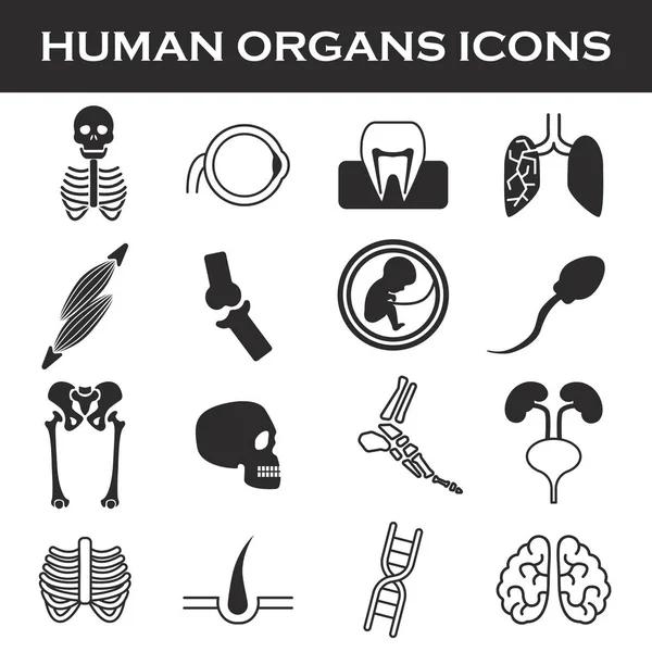 Bırakamayacaktı organları Icon set
