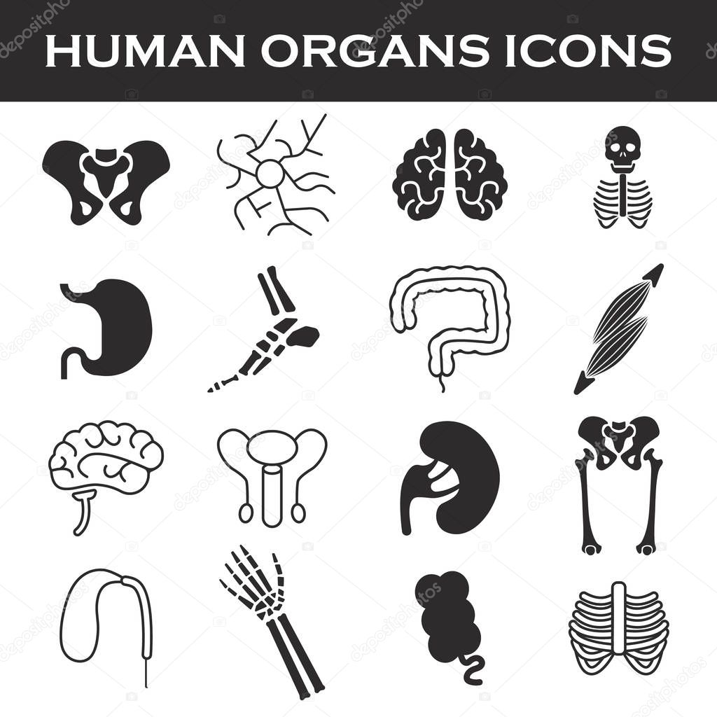 Himan organs icon set