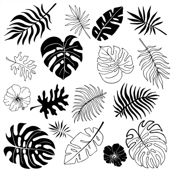 Siluetas aisladas de hojas de palmeras tropicales, hojas de la selva — Archivo Imágenes Vectoriales