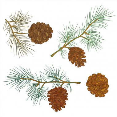 Mutlu yeni yıl ve mutlu Noeller 2018_27