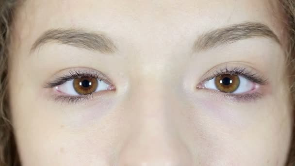 Close Up Of Blinking Eye Olhando para a câmera, fundo branco — Vídeo de Stock