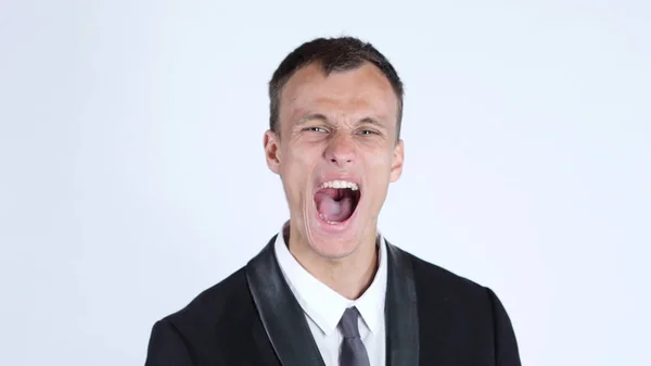 Empresário gritando, fundo branco — Fotografia de Stock