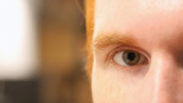Close up of man\'s eye , face , macro