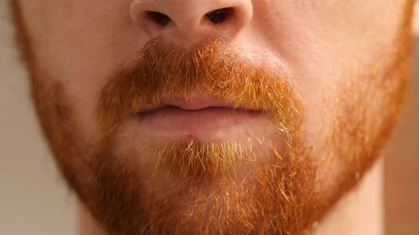Läpparna närbild av rött hår skägg mannen — Stockfoto