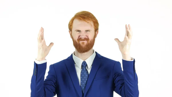 Gritando perturbado barba de cabelo vermelho empresário, fundo branco — Fotografia de Stock