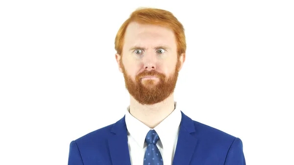 Portret szalony mylić czerwone włosy broda biznesmen — Zdjęcie stockowe