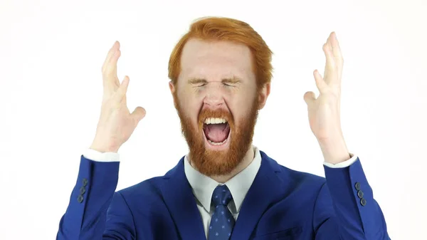 Křičí rozrušená zrzavé vlasy Beard podnikatel — Stock fotografie