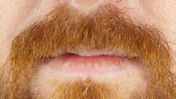 Ajkak közelről, komoly vörös hajú szakállas férfi — Stock Fotó