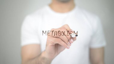 Metabolizma, şeffaf ekranda yazma adam