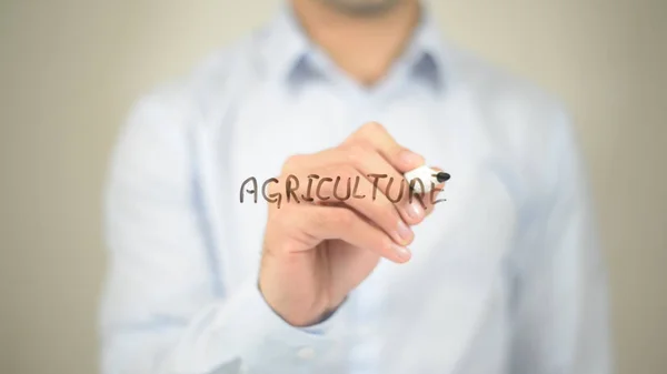 Agricultura, escrita do homem na tela transparente — Fotografia de Stock