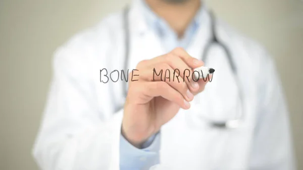 Kemik iliği, şeffaf ekranda yazma doktor
