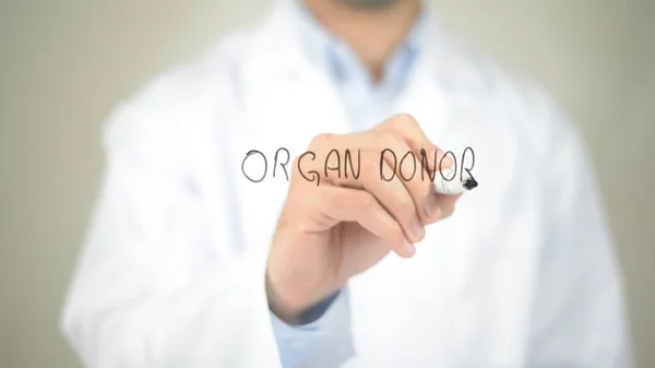 Organ donörü, şeffaf ekranda yazma doktor — Stok fotoğraf